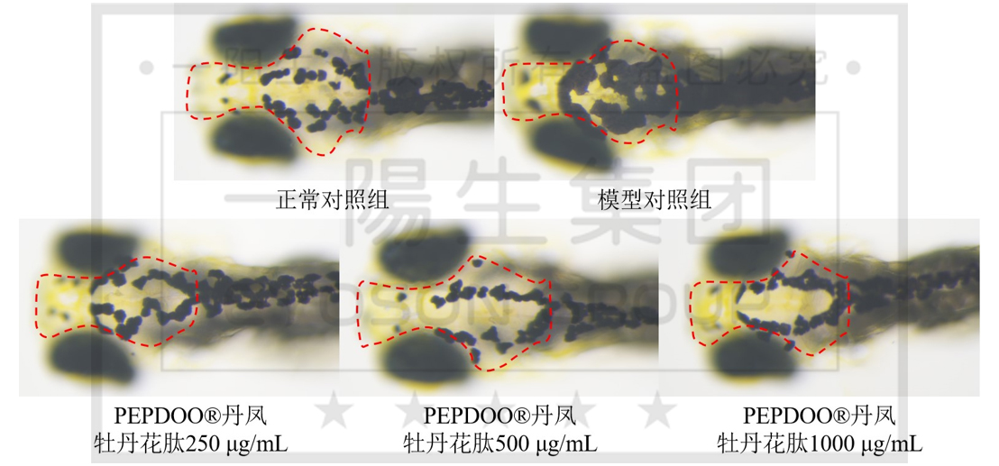 尊龙体育·(中国)人生就是搏官网